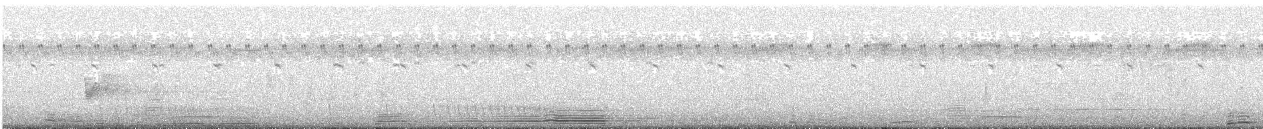 Savanna Nightjar - ML531082021
