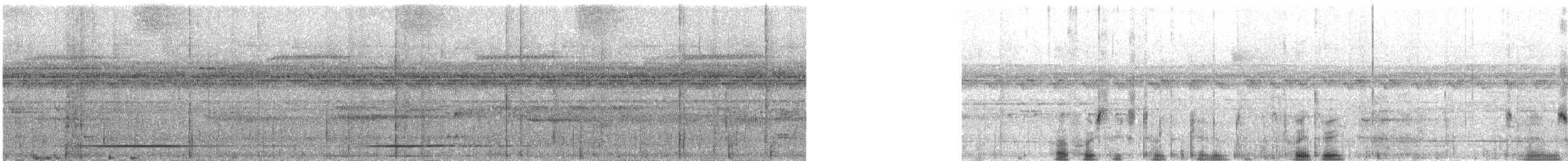 White-throated Tinamou - ML531088661