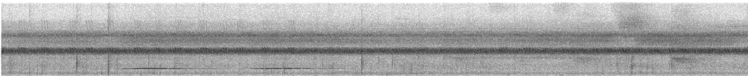 White-throated Tinamou - ML531089101