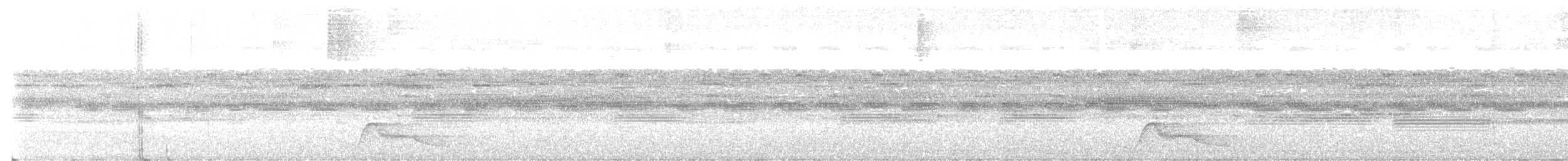 Pauraquenachtschwalbe - ML531097351