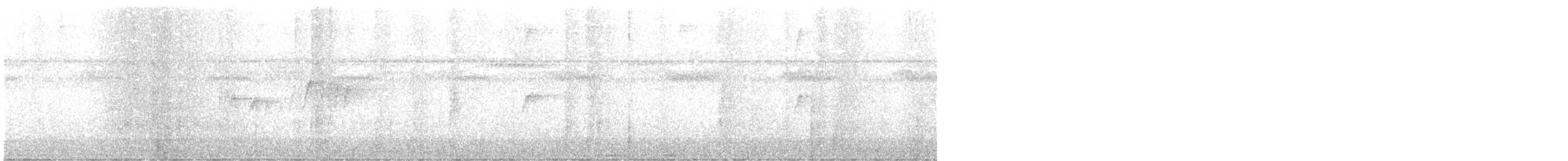 Мурав’янка-куцохвіст плямиста - ML531097841