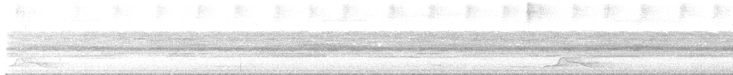 Pauraquenachtschwalbe - ML531098501