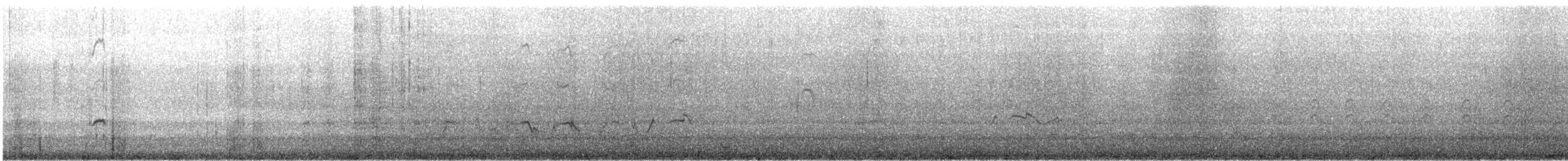 太平洋金斑鴴 - ML531147581