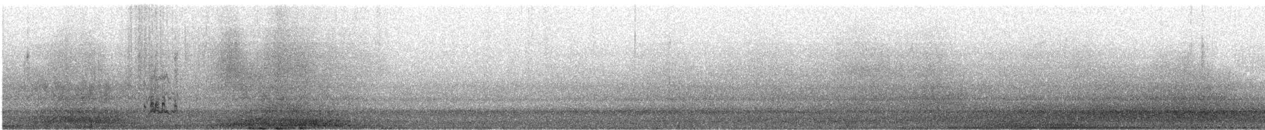 太平洋金斑鴴 - ML531147621