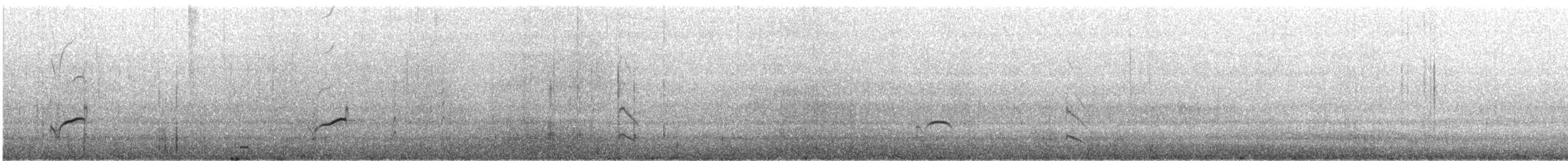 太平洋金斑鴴 - ML531147641
