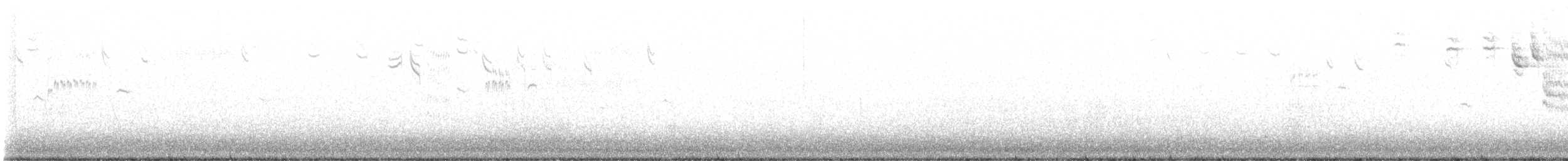 Savannah Serçesi (rostratus/atratus) - ML531165931