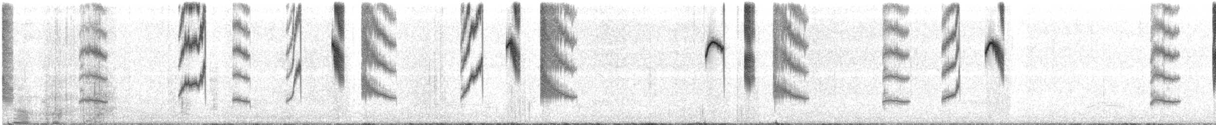 Dusky Hummingbird - ML531185711