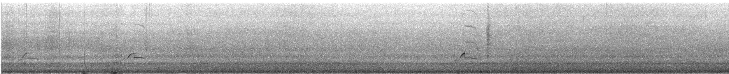 太平洋金斑鴴 - ML531189841