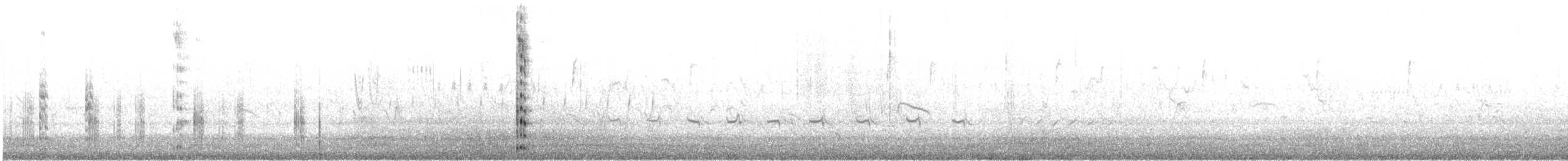 Гавайская лысуха (White-shielded) - ML531189901