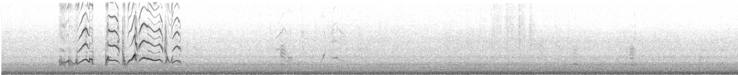 太平洋金斑鴴 - ML531190211
