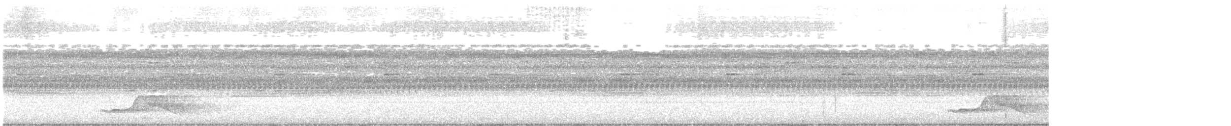 Pauraquenachtschwalbe - ML531225461