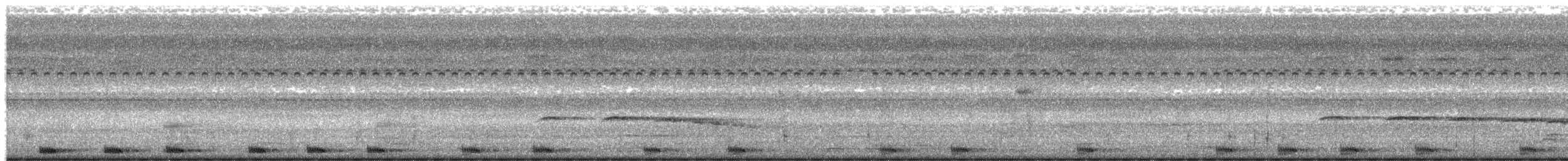 Large-tailed Nightjar - ML531259701