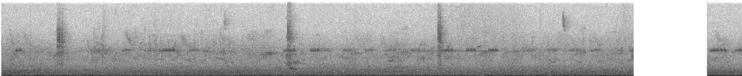 Широкохвістка маньчжурська - ML531306941