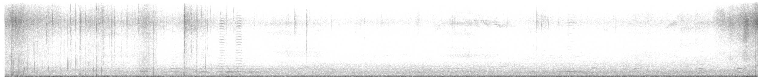 Cisne Trompetero - ML531308421