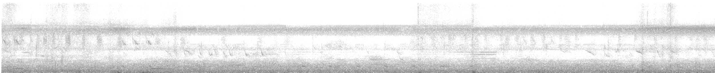 tanımsız yelve/sukılavuzu (Rallidae sp.) - ML531321291