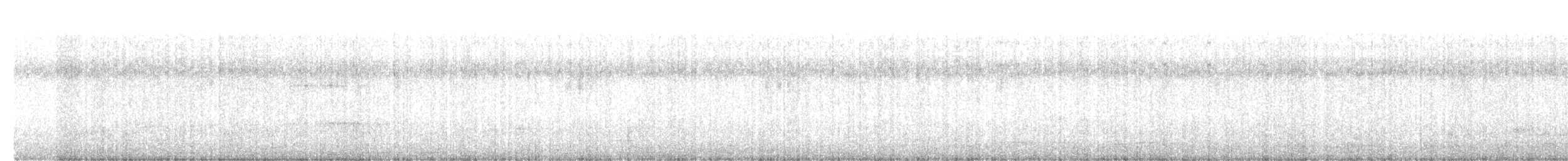 Accipiter sp. - ML531348711