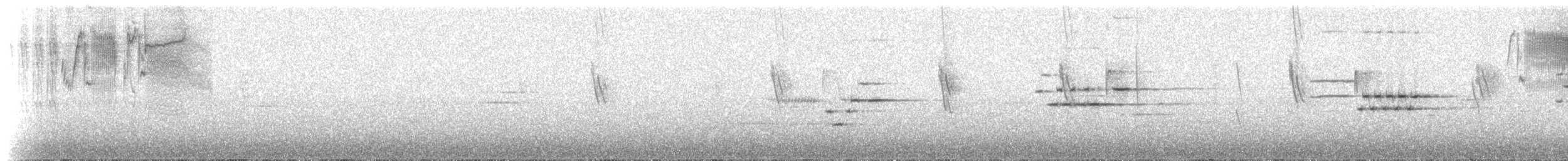 Андский кларино (ralloides) - ML531365