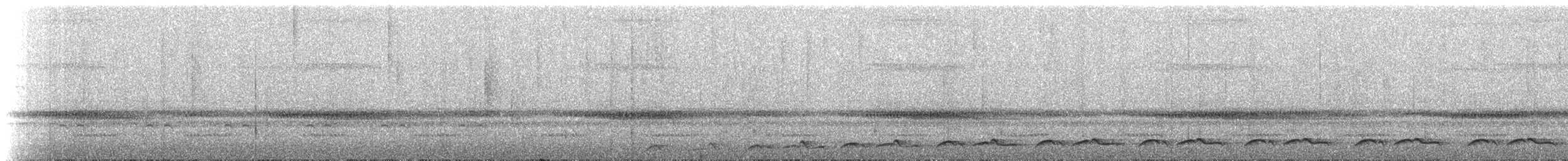 Lyre-tailed Nightjar - ML531396