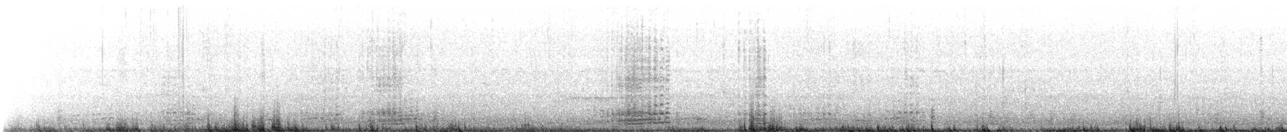 berneška tmavá (ssp. hrota) - ML531402831
