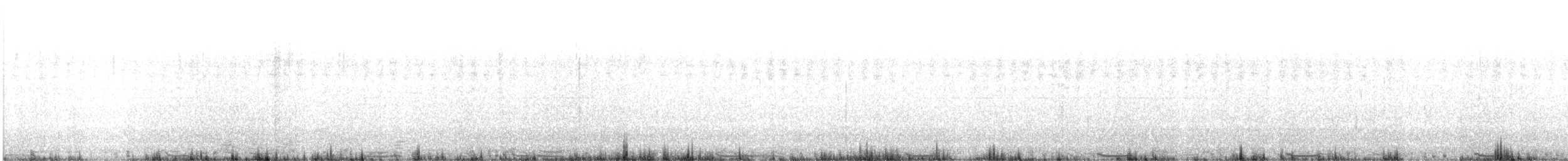 Rock Pigeon (Feral Pigeon) - ML531452551