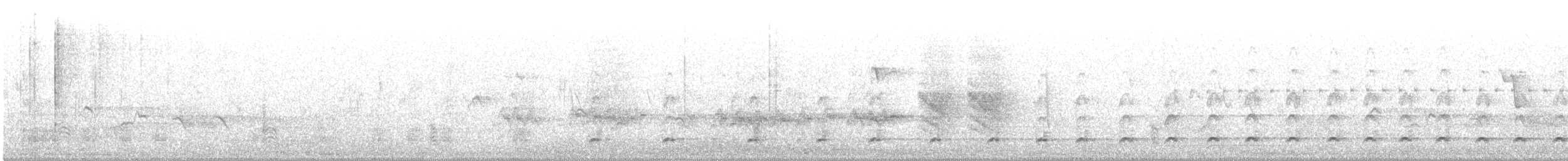 Hemprich's Hornbill - ML531477641