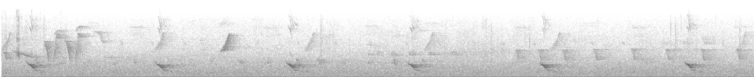 Black-tailed Oriole - ML531481121