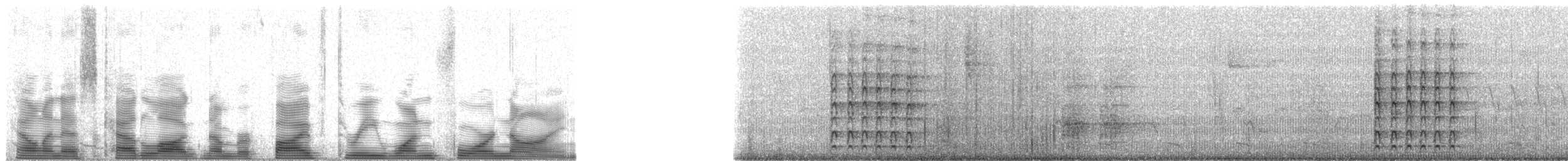 Schopfblaurabe - ML53149