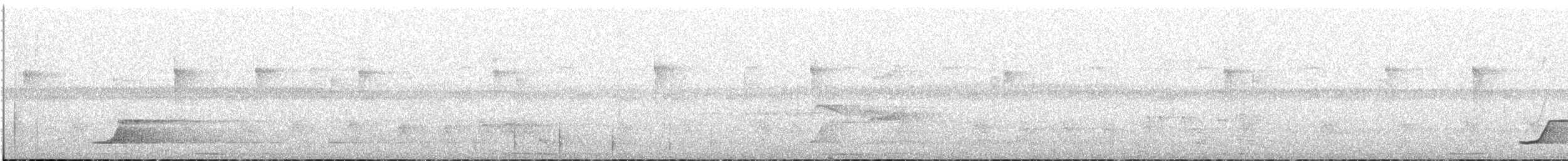 Sürmeli Tinamu - ML531502591