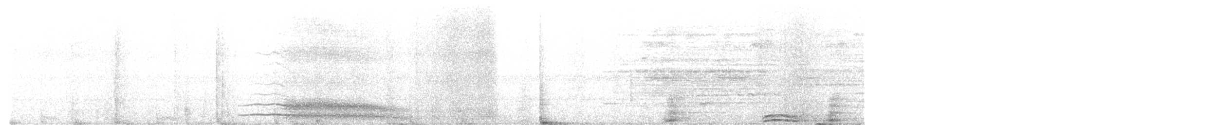 Chouette mouchetée - ML531507861