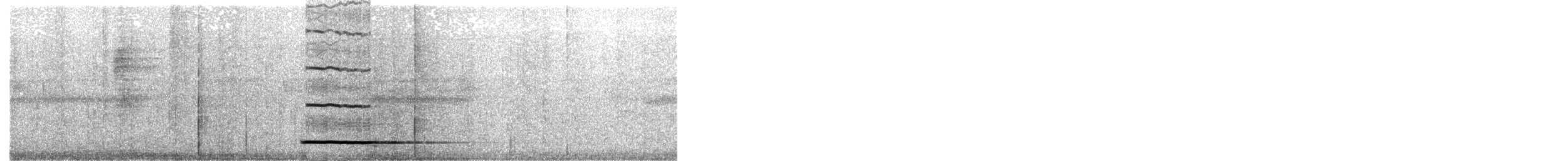 Thicket Tinamou - ML531515021