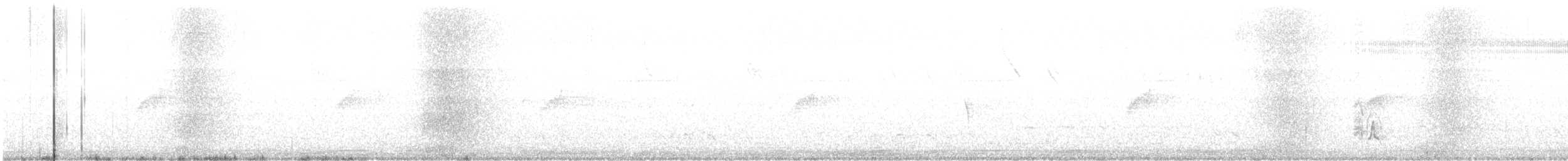 Swainson Sinekkapanı - ML531515621