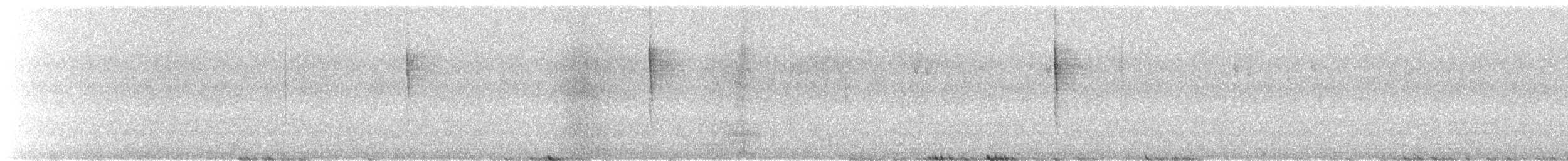 Тихоокеанский крапивник - ML531516281