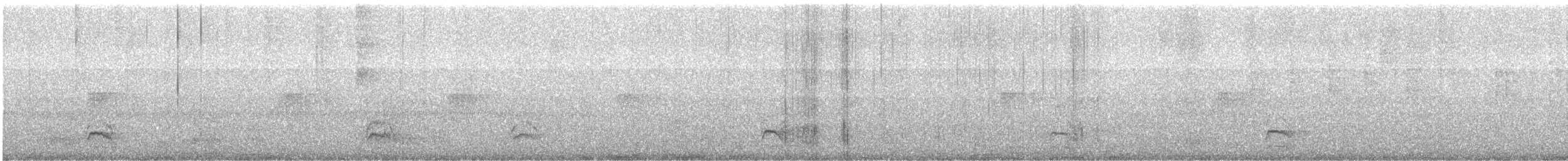 Olivgrau-Ameisenvogel - ML531517121