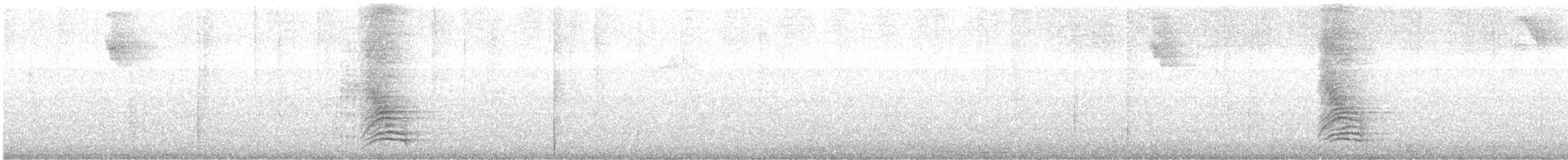 White-necked Thrush - ML531517791