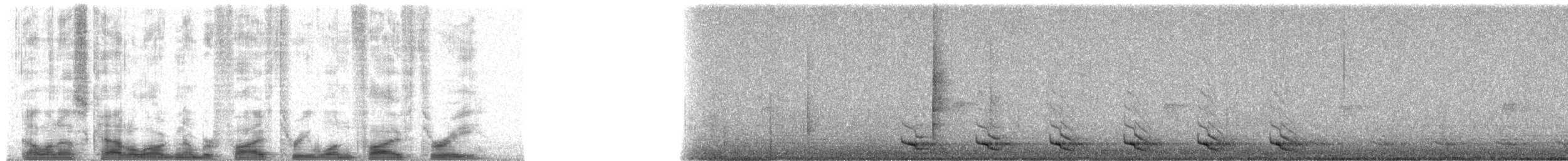 Горный трогон - ML53153