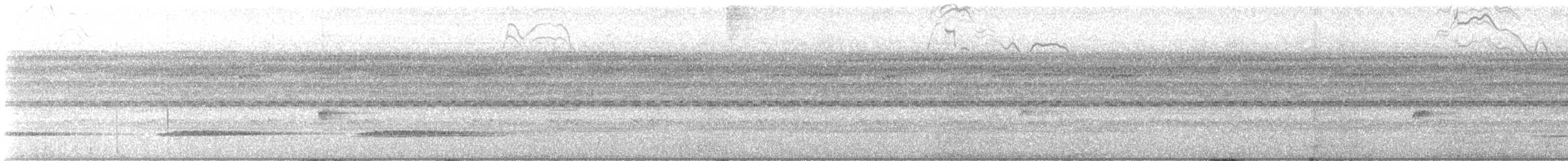 Little Tinamou - ML531584111