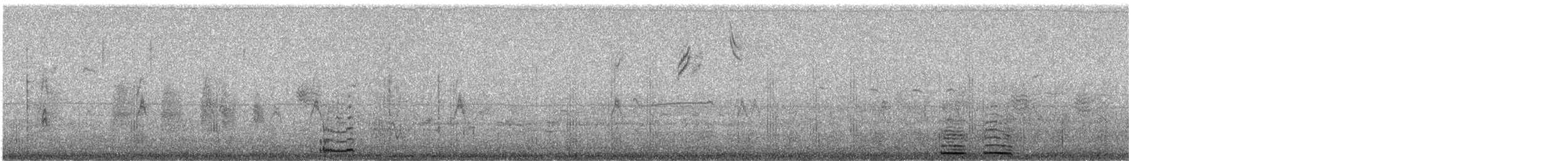 Cygne siffleur - ML531600971