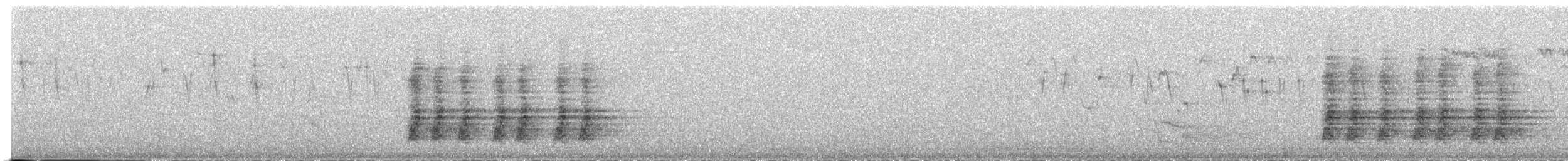 Steller's Jay - ML531613791