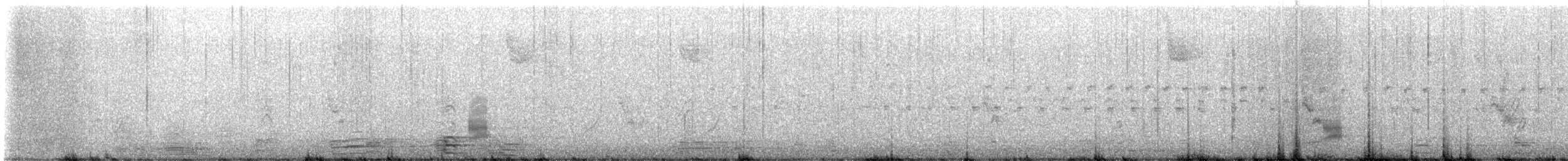 Бор нугас - ML531629921