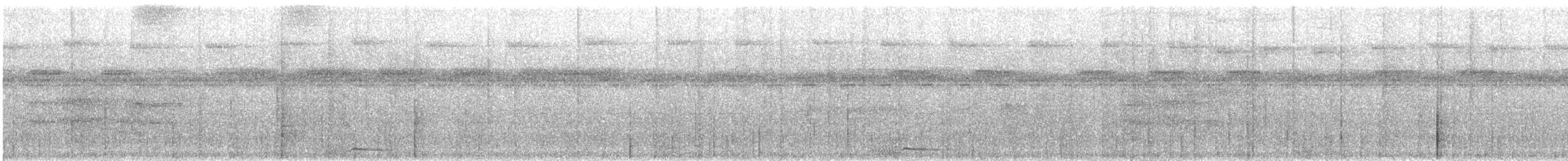 White-throated Tinamou - ML531638321