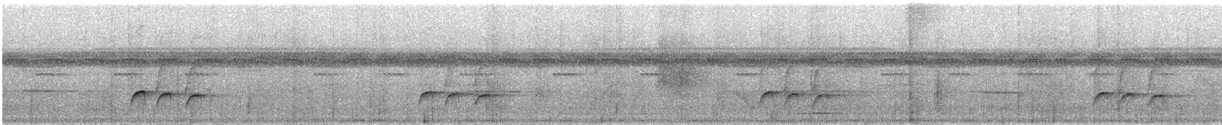 Gelbbrauen-Ameisenschnäpper - ML531639001
