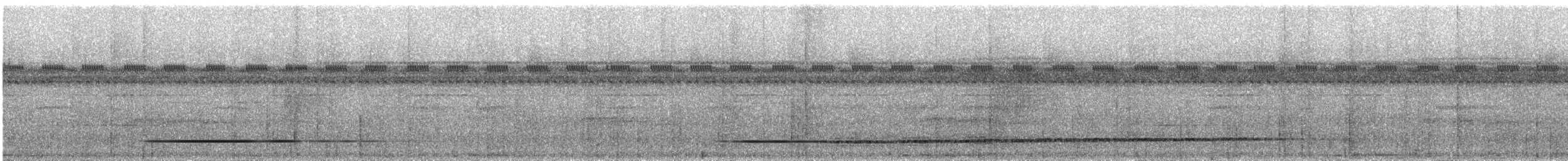 Tinamou varié - ML531639011