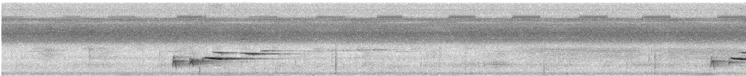 Пестрогорлый дрозд - ML531640891