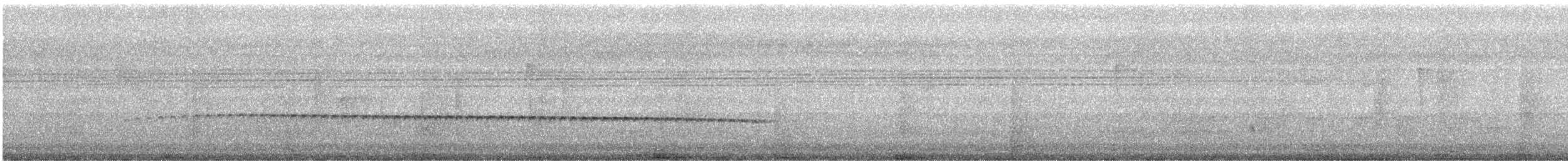 Little Bronze-Cuckoo - ML531660761