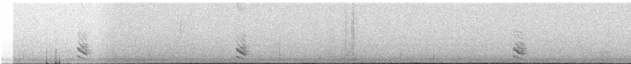 Длинноклювый пересмешник - ML531667391