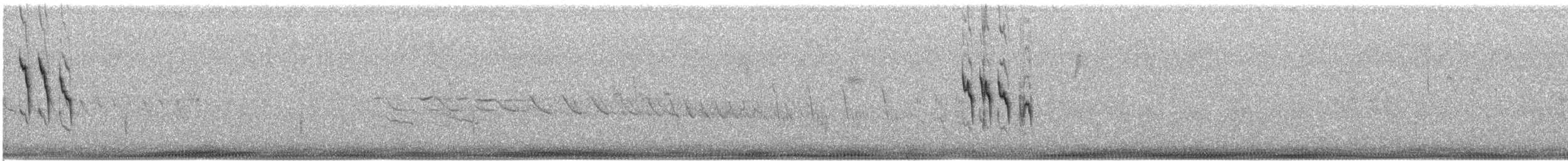 American Pipit - ML53168101