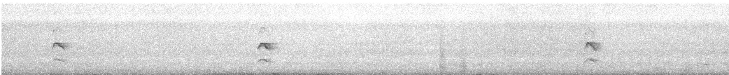Karaca Mizomela [obscura grubu] - ML531697931