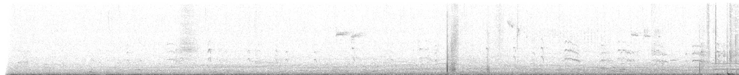 Falklandseeschwalbe - ML531698961