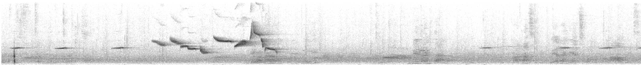 White-bellied Sholakili - ML531704881