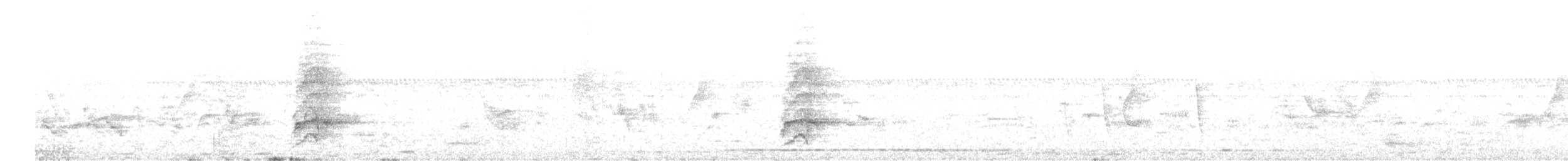 Alexandrine Parakeet - ML531762621